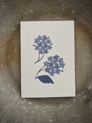 Kort 6 ulike motiver