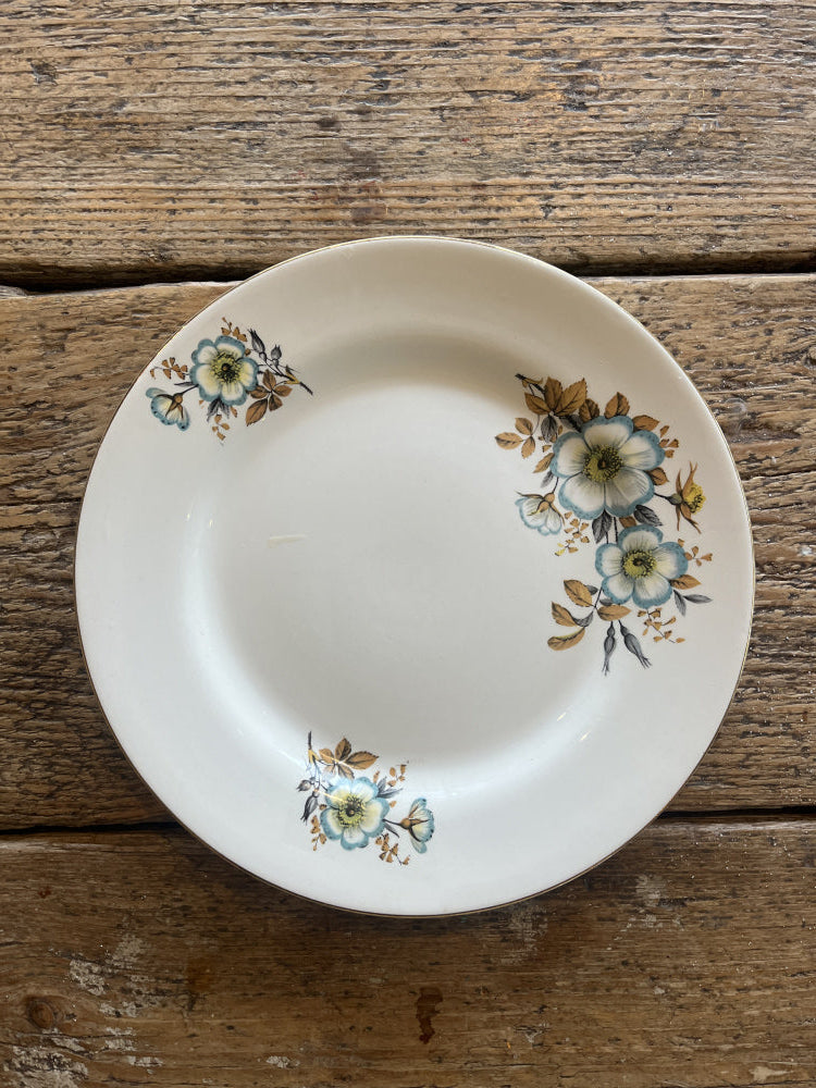 Asjett Blånyperose 22 cm