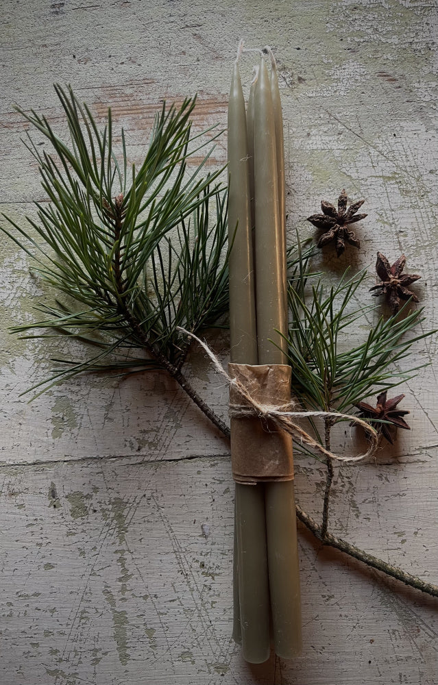 Tynne stearinlys 4 pk - Oliven, 28 cm