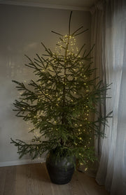 Sirius juletrelys 273 leds