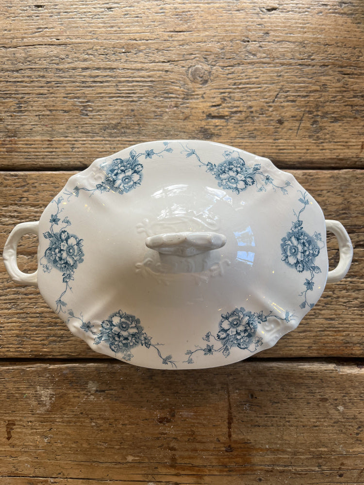 Suppeterrin Ranunkel