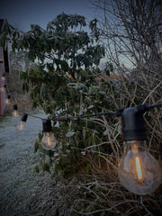 Sirius lyslenke 4,5 meter, 10 leds