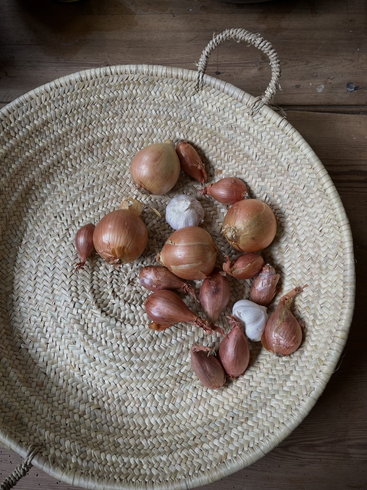 Kurvfat med håndtak