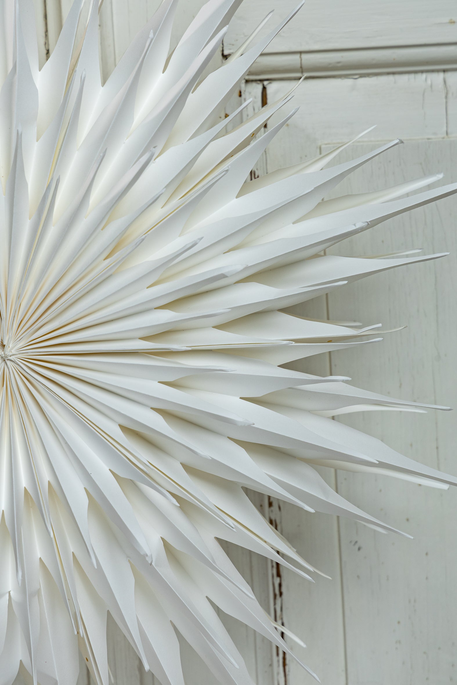 Julestjerne papir hvit