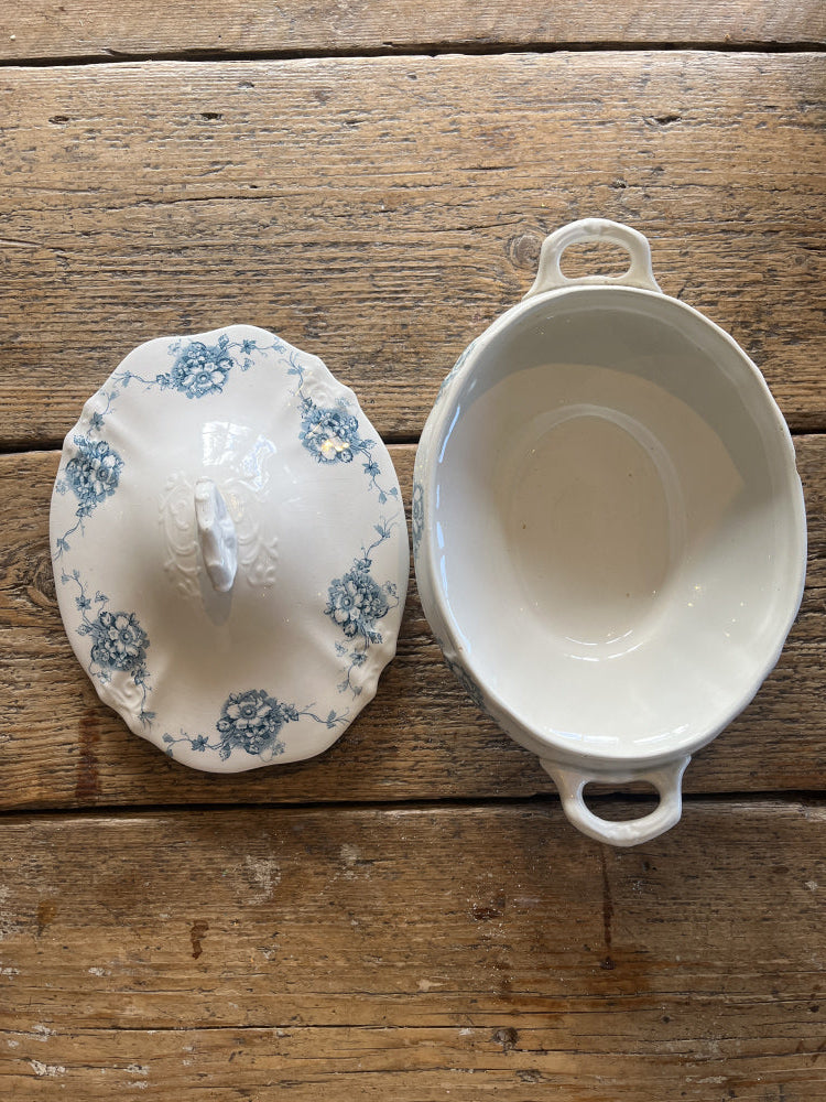 Suppeterrin Ranunkel