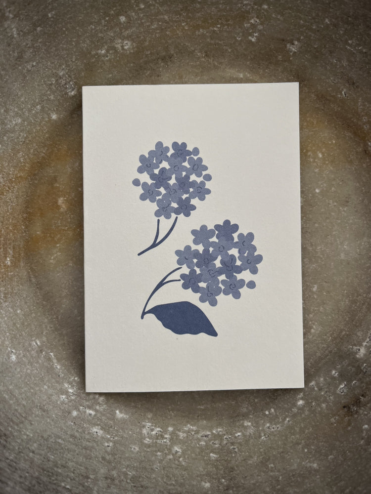 Kort 6 ulike motiver