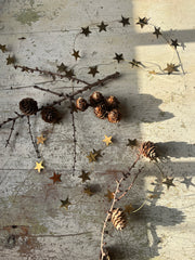 Girlander mellomstore stjerner