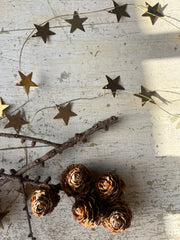 Girlander mellomstore stjerner