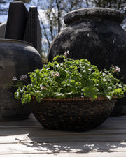 vintage-kurv-med-blomster-oppi