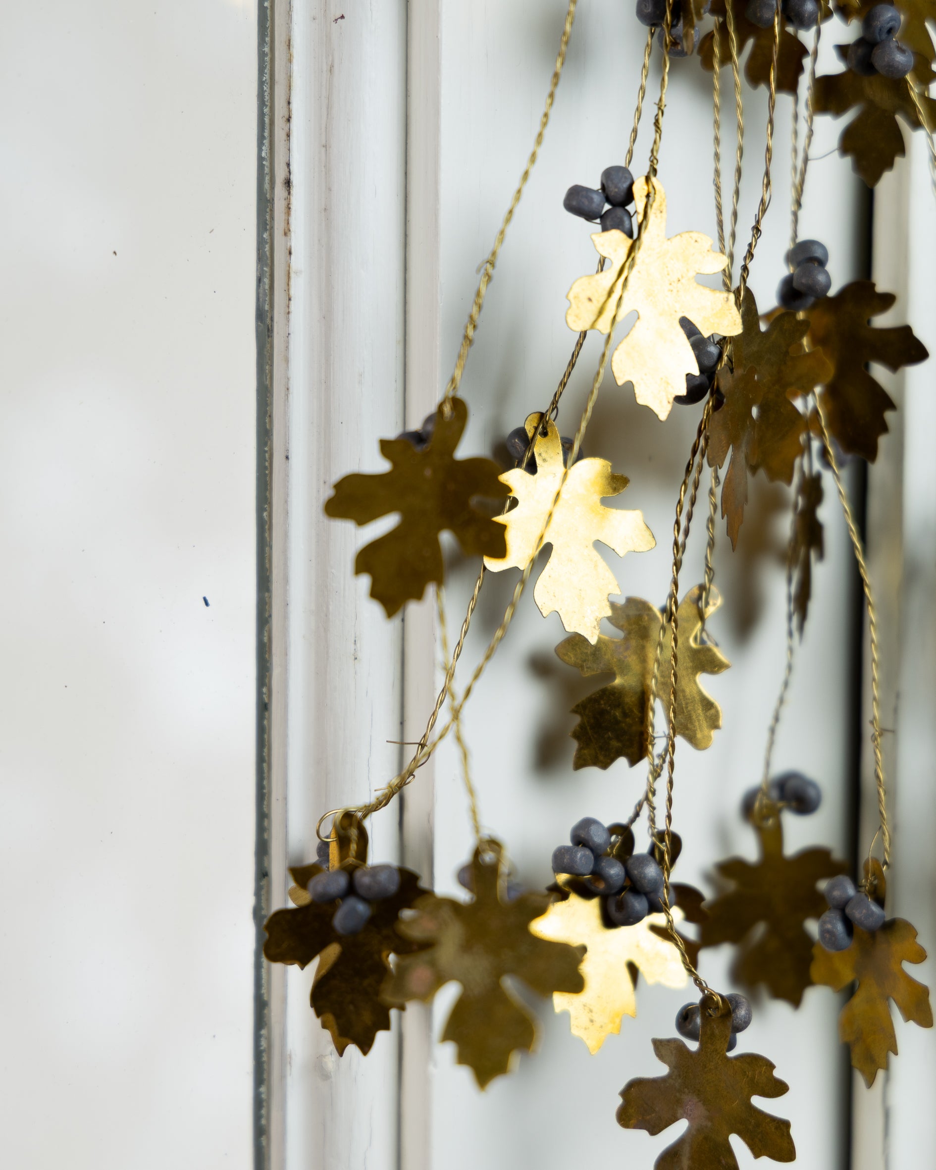 Black berries misteltein