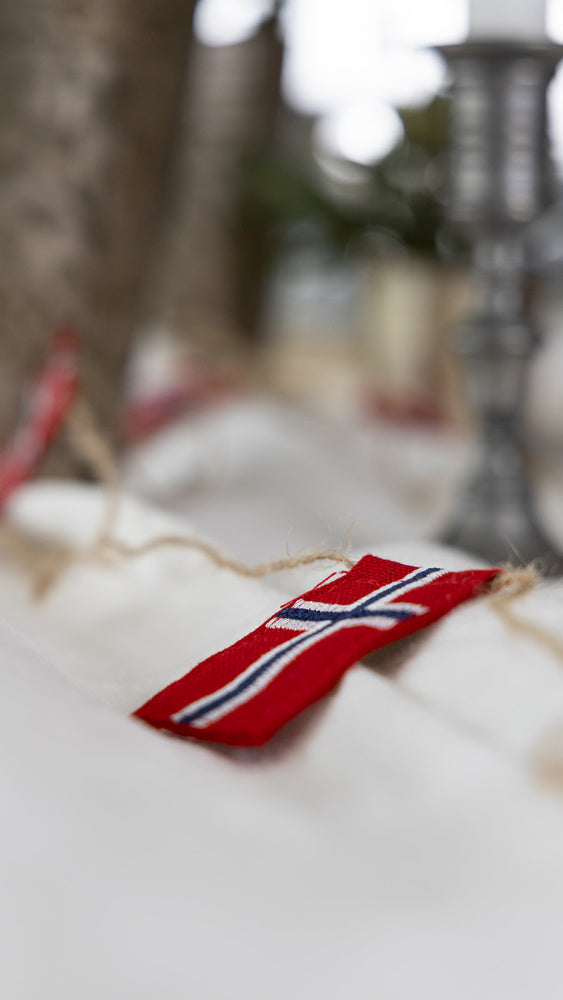 Flaggrekke 10 store norske flagg