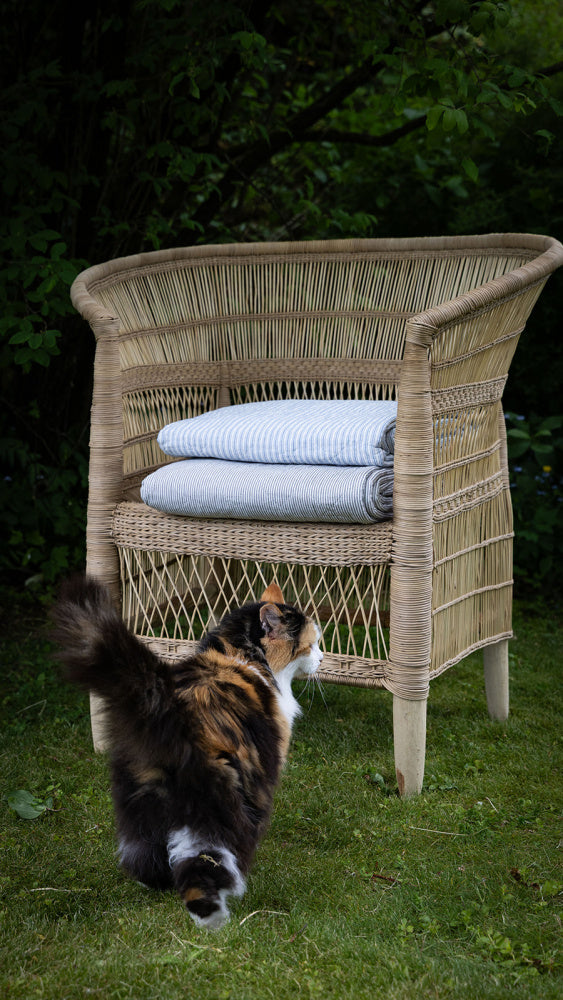 Nydelig stol i rotting