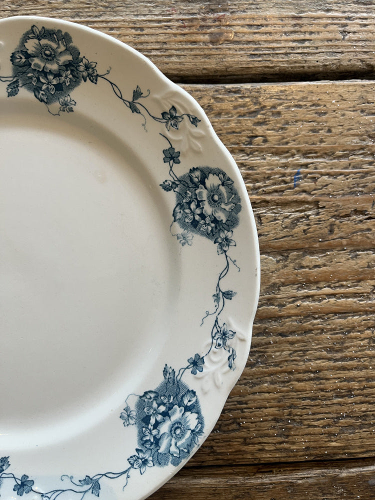 Asjett Ranunkel 23 cm