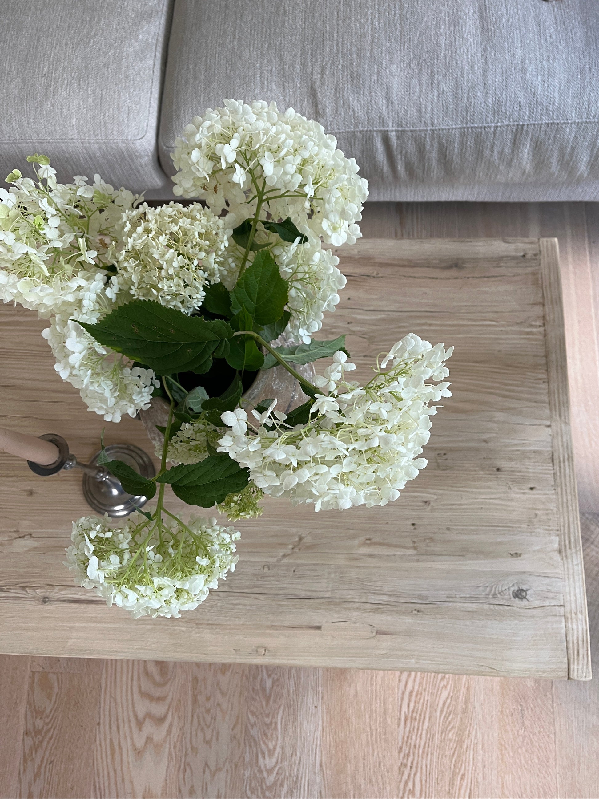 del-av-stuebord-ved-sofa
