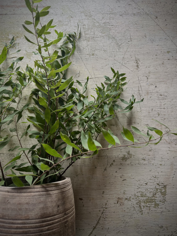 Vintage trepotte bleket