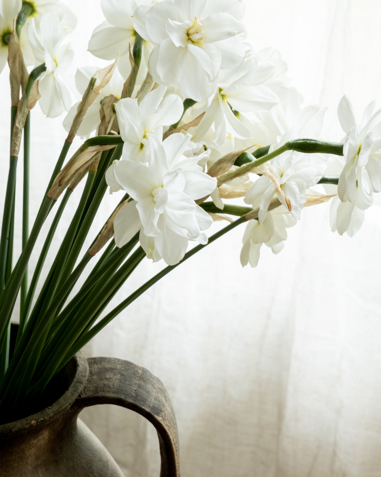 naerbilde-av-blomster-i-krukke