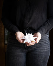 dame-holder-hvit-stjerne-small