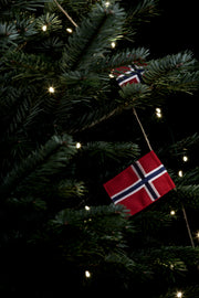 Flaggrekke 10 store norske flagg