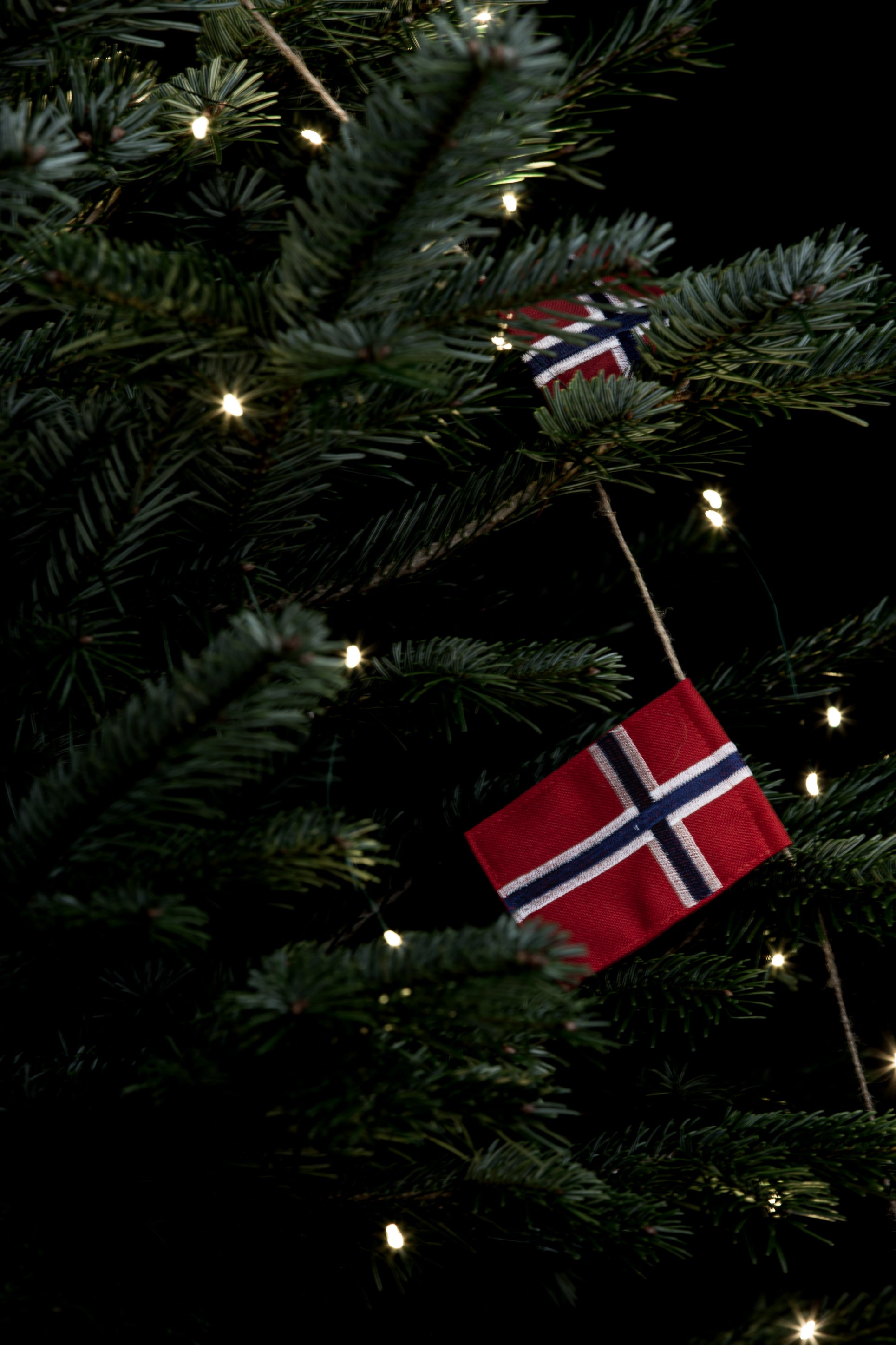 Flaggrekke 10 store norske flagg