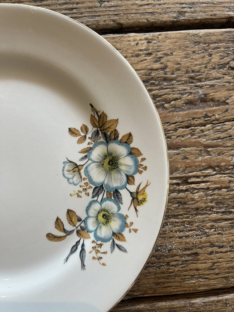 Asjett Blånyperose 22 cm