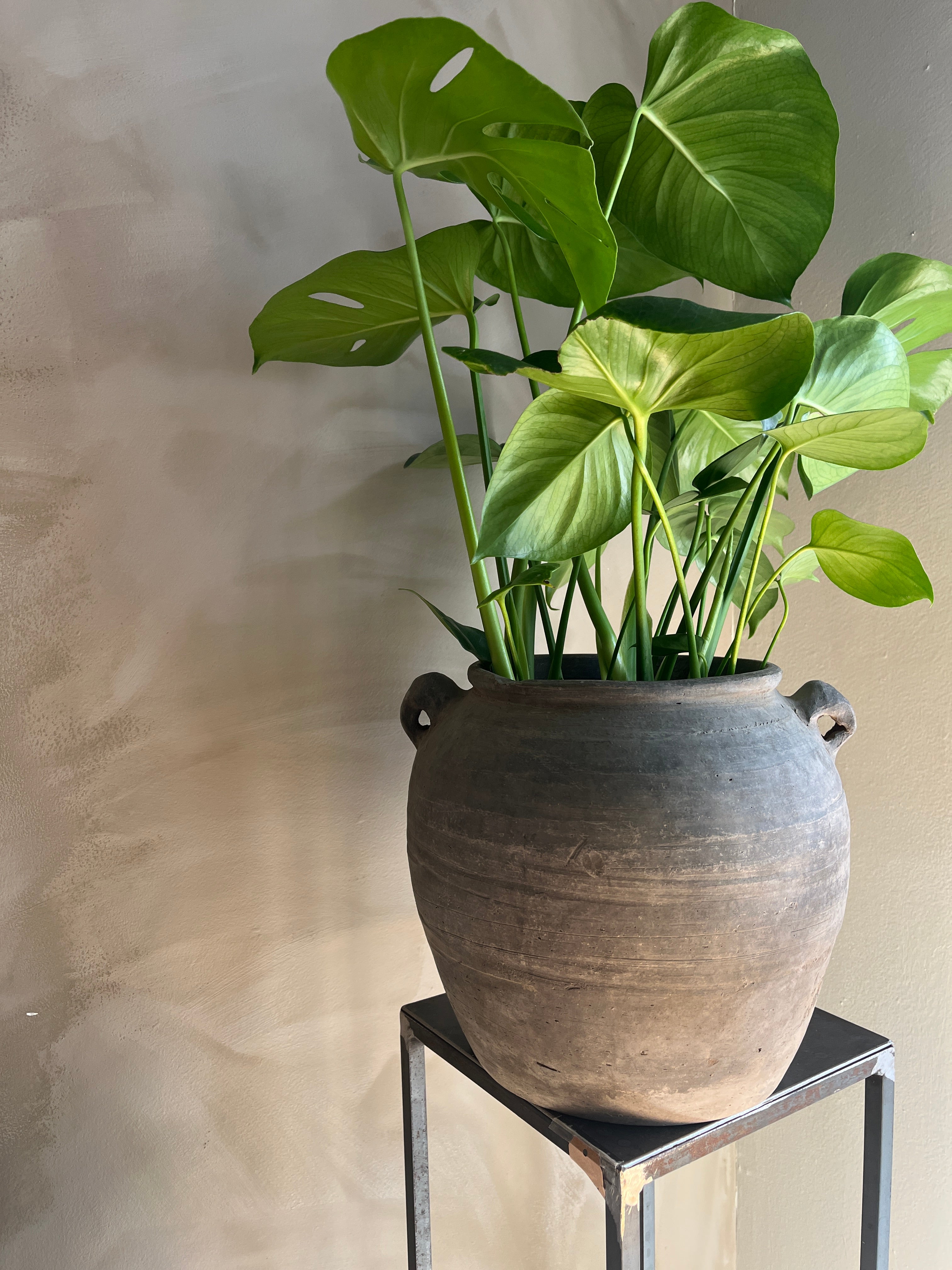 krukke-keramikk-graa-med-gronn-plante-oppi