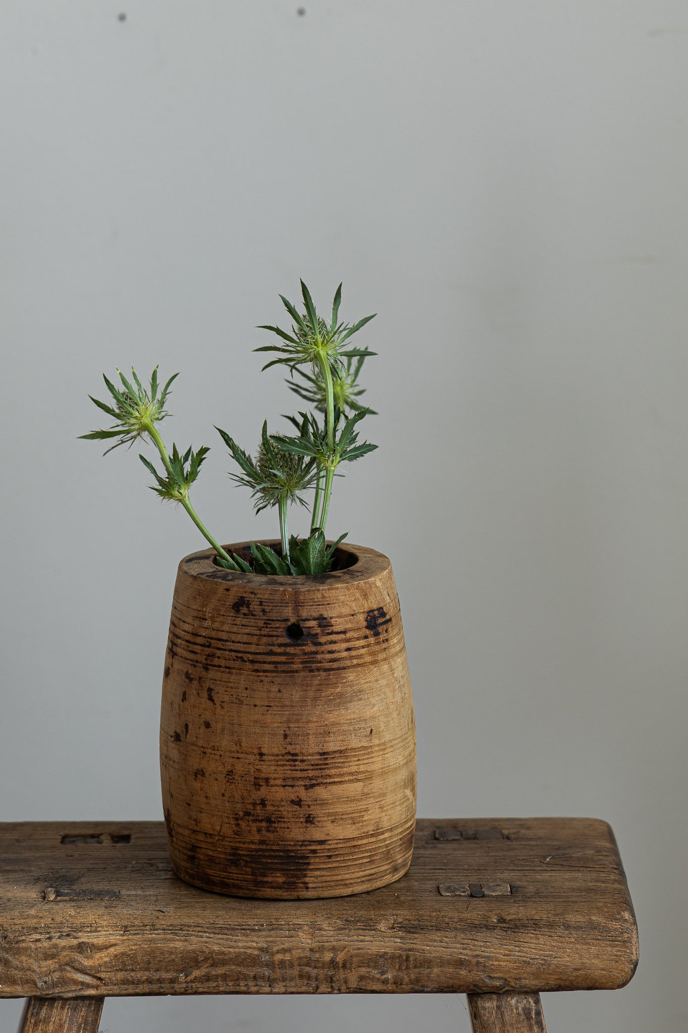 eldre-trekrukke-med-blomst-fra-snowdrops-copenhagen