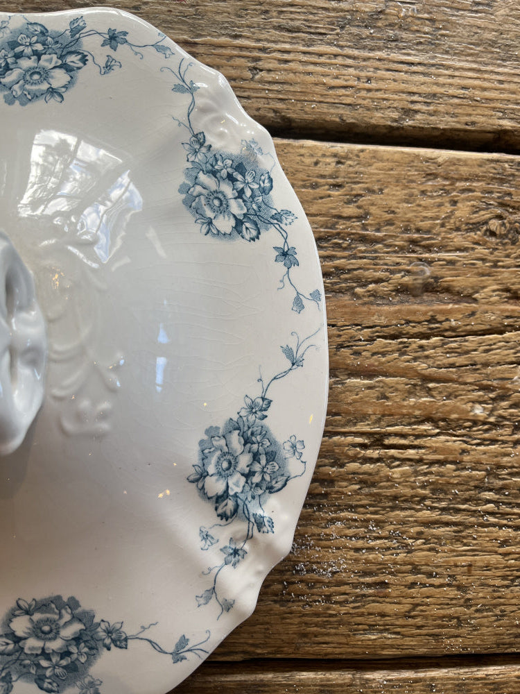 Suppeterrin Ranunkel